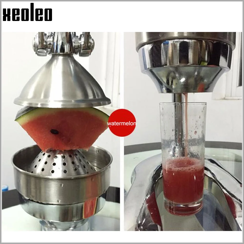 Xeoleo Commercial Juicer Stainless steel Juice machine Juice