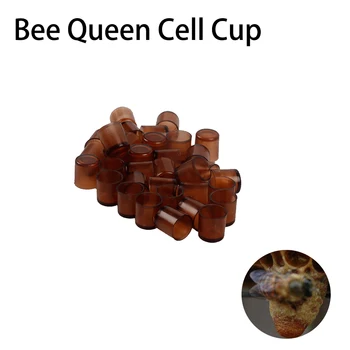 

1000PCS Cells Queen Rearing System Bee Queen Cell Beekeeper Equipment Beekeeping Tools Beehive Feeding Tools For Beekeepers