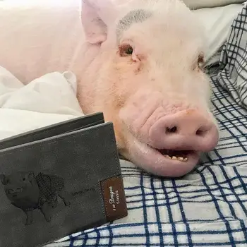 

Personalized Pet Photo Men's Wallet ，Custom Photo Wallet， Personalized Photo Wallet ， Custom Wallet ，Personalized Wallet