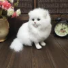 Realistic Plush Toy Simulation Cat Doll White Persian Cats Lifelike Kitten Model Birthday New Year Gift Home Decor Ornament 2