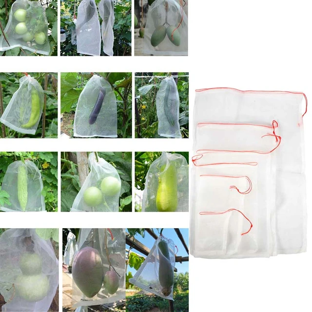 1 Pc Nejlon Hálózsák Rovarálló Kerti Növényi És Gyümölcsvédő Zsák Kártevőirtó Madárgyilkos Táskák - Image 2
