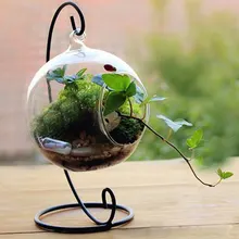 Прозрачная круглая стеклянная ваза, подвесной Террариум, гидропонный садовый декор с держателем