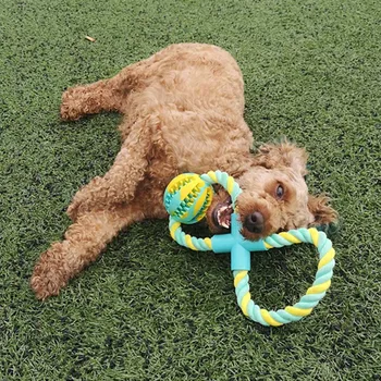 

Dog Ball Toy Strong Teeth Chewing Playing Training Toy Soft Rubber Bite Resistant for Puppy Pets TB Sale