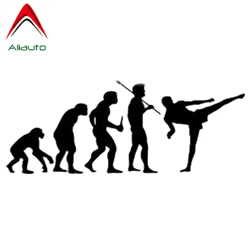 Aliauto Funny Car Stickers Personalized Fashion Fighting Brazilian Jiu Jitsu Martial Evolution Reflective Decal PVC 15cm*6cm | Автомобили