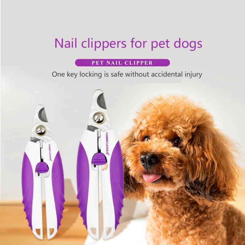 Clipper Blade Size For Labradoodle Shop Discounted clc.cet.edu