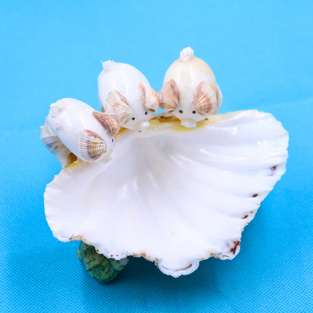 Natural Scallop Seashell Clam Crafts Soap Holder Beach Wedding Decorations Aquarium Landscape Decor Shells for Jewelry Making | Дом и сад
