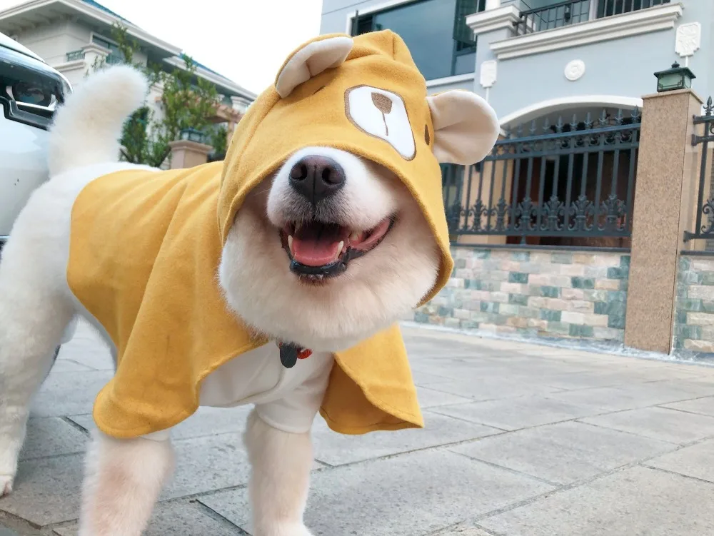 big dog cloak (18)