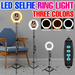 Anneau lumineux Led USB 5V, éclairage annulaire de sol pour photographie, Selfie, intensité variable, lumière d'ambiance pour vidéo en direct 