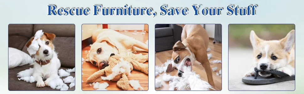 f61d84e0-9ee5-4c50-8b88-811ccc249ffa.__CR0,0,970,300_PT0_SX970_V1___