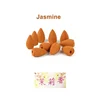 Jasmine(10PCS)