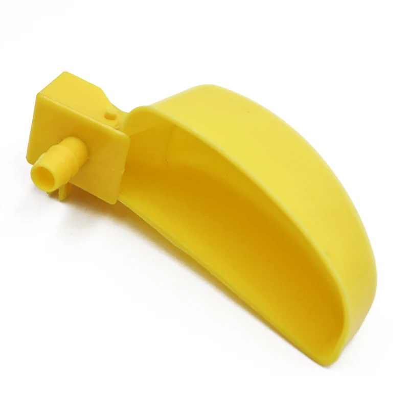 ޹ ߶  ô ׸  ô ,  ߶ ѱ   ļ 50 