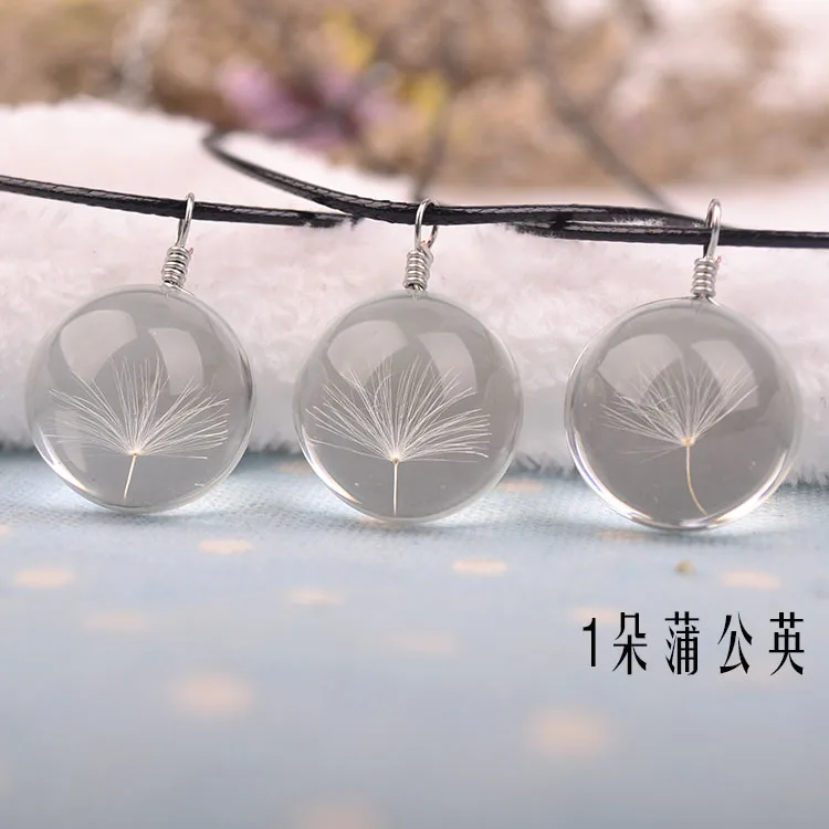 3546827426_761238940 - 副本