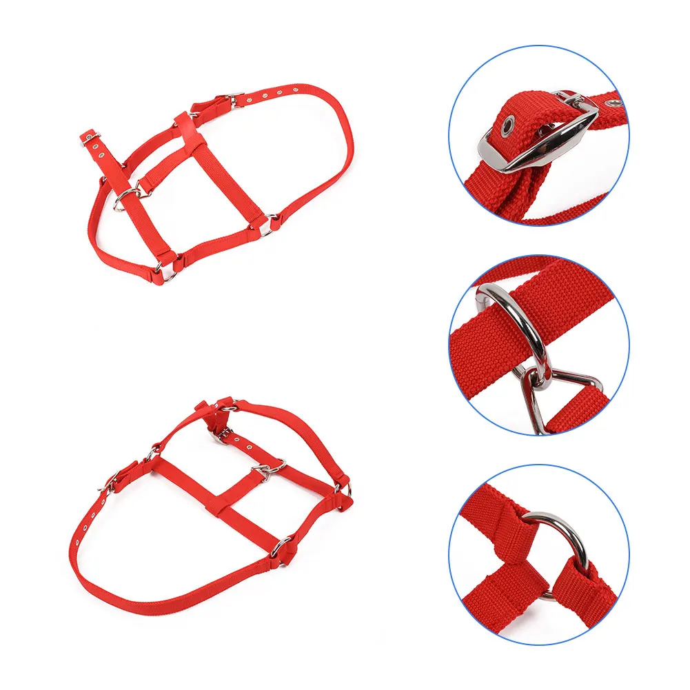 

Horse Riding Belt Bridle Adjustable Halter Headstall Horsing Accessory Red/Blue