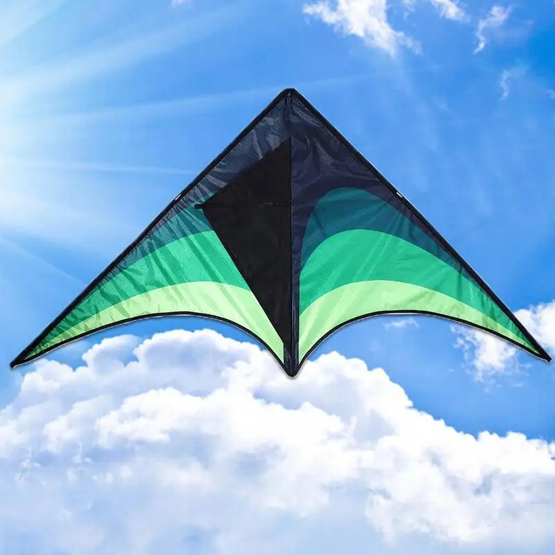 Large delta kite for kids and adults single line easy to fly kite handle 