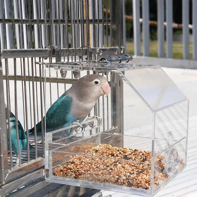 Mangeoire à oiseaux automatique en acrylique, mangeoire pour perroquets,  récipient alimentaire pour perche, perruche, perruches, accessoires pour  oiseaux, sans gâchis - AliExpress