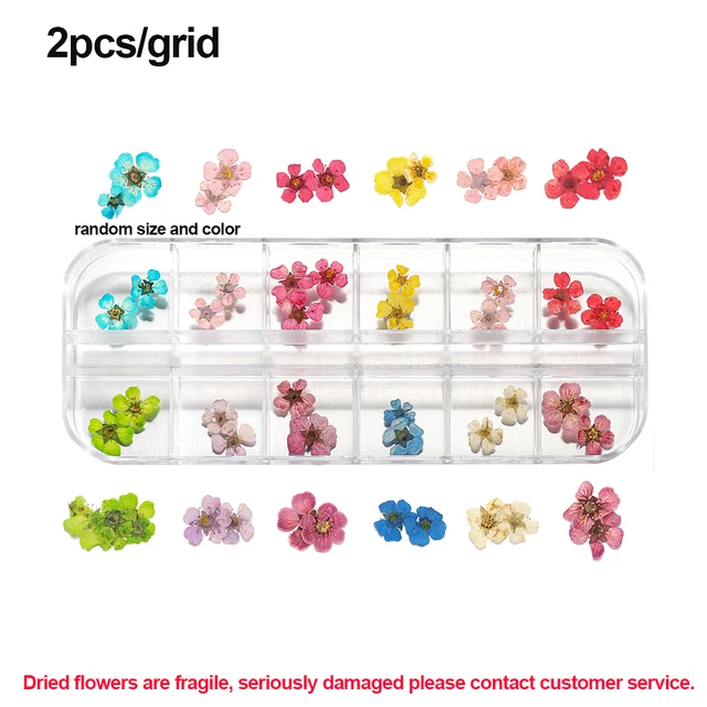 1Box Dried Flowers Dry Plants for Rsein Molds Fillings Epoxy Resin Pendant Tweezers Jewelry Making Craft DIY Nail Art Decoration Style 08