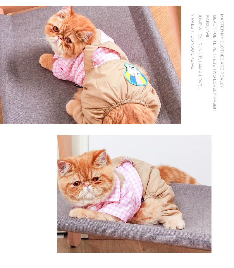 O1CN01pEuNre1R01ciIm17r_!!273292048