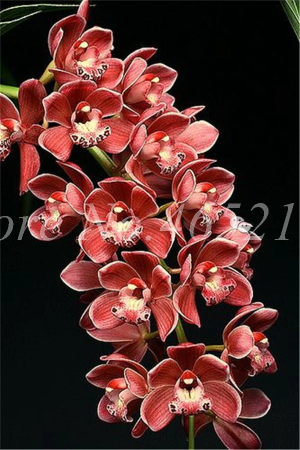 7C0BDAEAE6ABE7335F157DD4D869F620