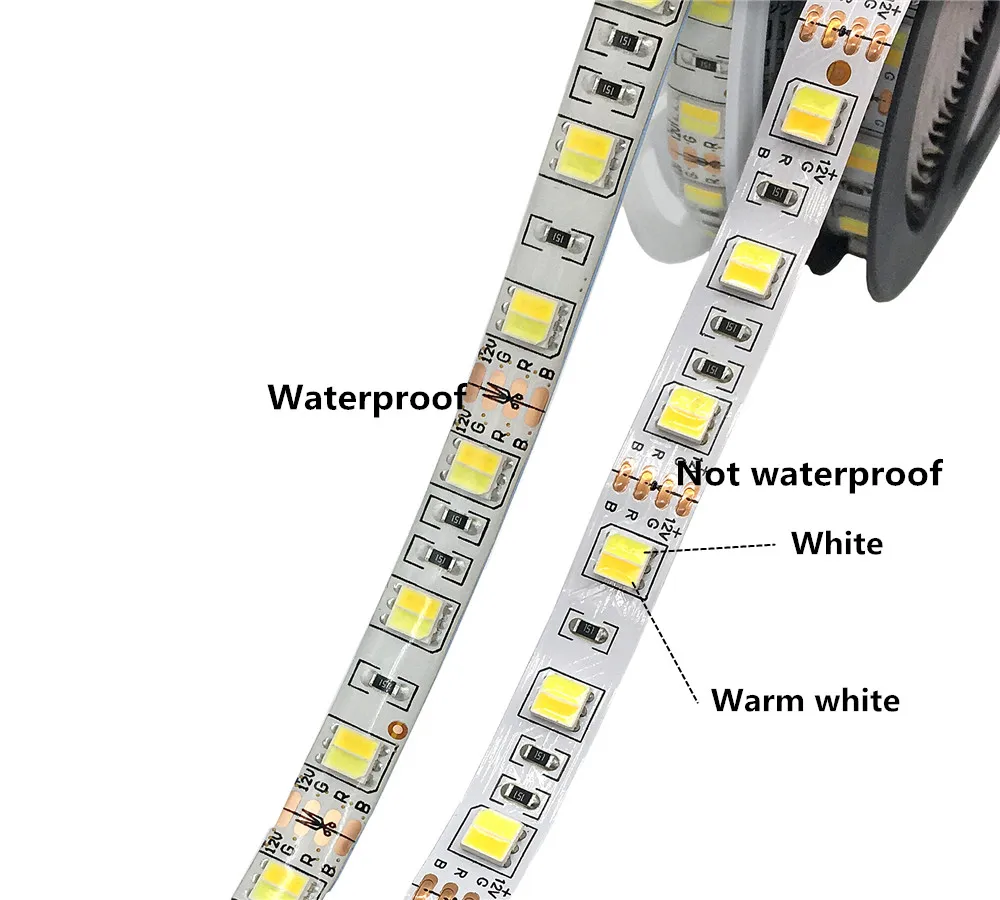 IMG_0441_副本_副本