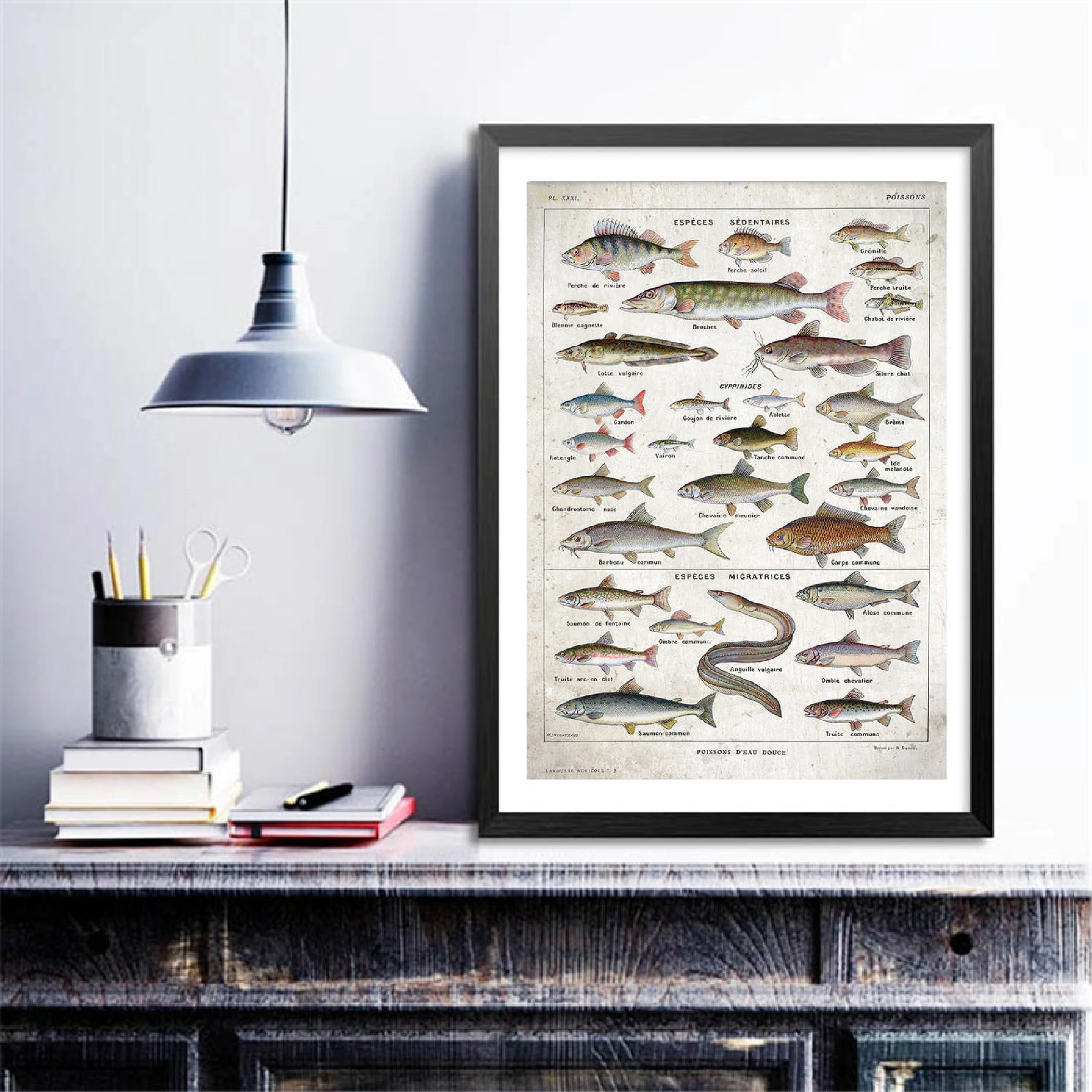 Старинный плакат с рыбками, французская версия Poisson, Офисная настенная художественная картина, Картина на холсте, принт, Франция, украшение для дома на стену