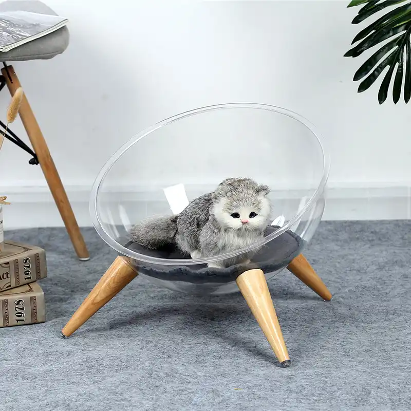Nid Pour Chat Creatif Capsule Spatiale Spherique Transparent Maison Tapis De Couchage Fournitures Pour Animaux De Compagnie Aliexpress