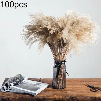 

100Pcs Dried Reed Bundle Bouquet Flower Arrangement Wedding Holiday Party Decor