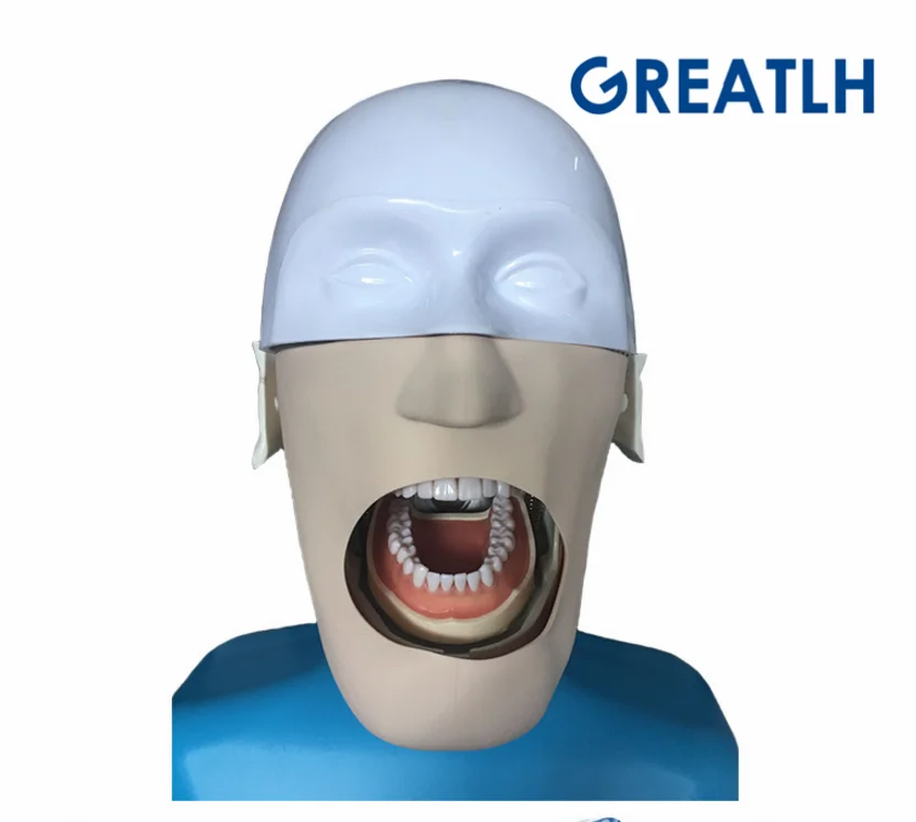 

Dental manikins Phantom Head for dentistry and dental technology Sennior manikins Phantom Head with Torso