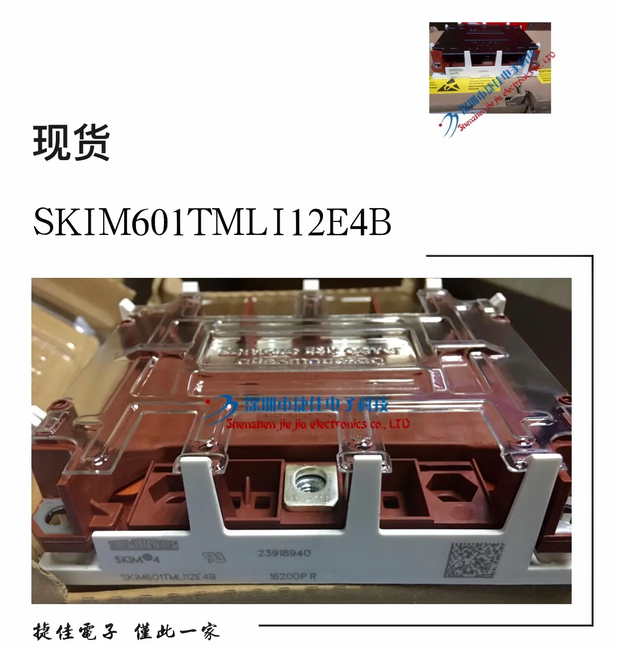 SKIM401TMLI12E4B SKIM601TMLI12E4B