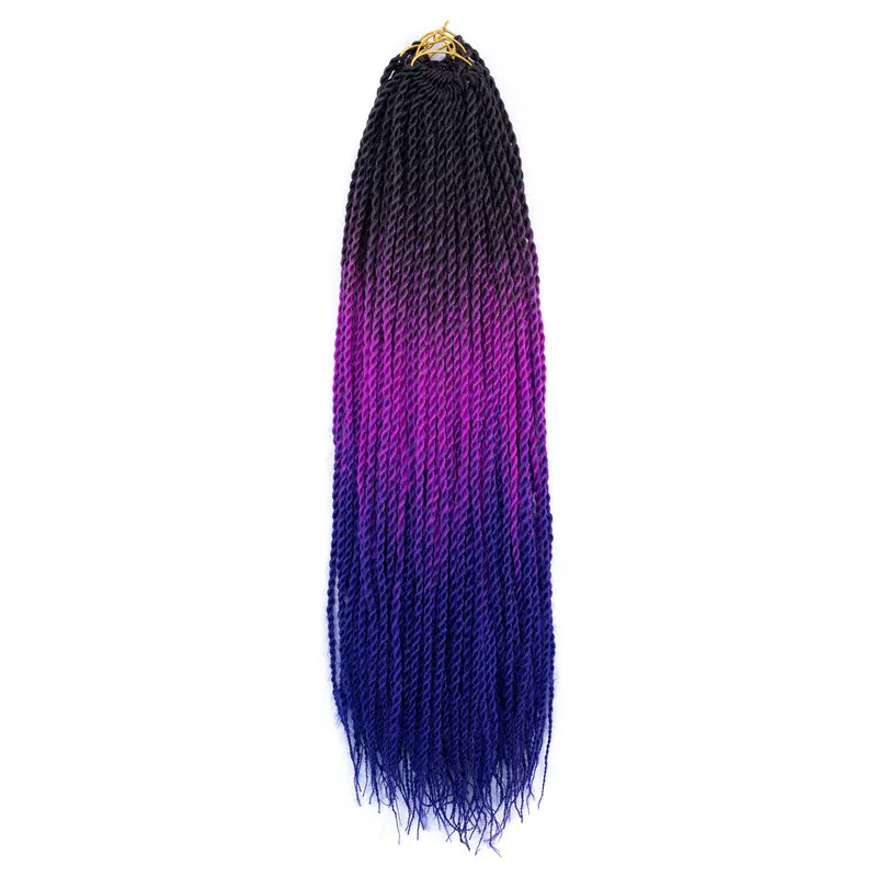 Pervado Hair 24" 20 Root Synthetic Senegalese Twist Braids Hair Extensions Rainbow Ombre Grey Crochet Braiding Pre-Twisted