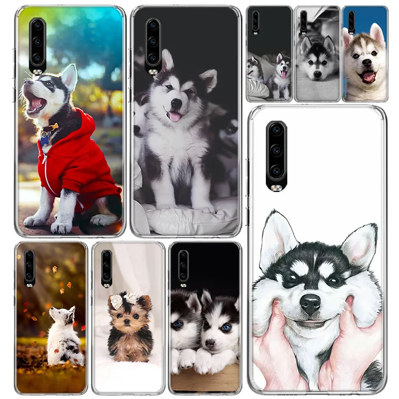 Чехол для телефона с животным Хаски щенком Huawei P40 P30 P20 P10 Mate 30 20 10 P Smart Z Pro Plus Lite Coque