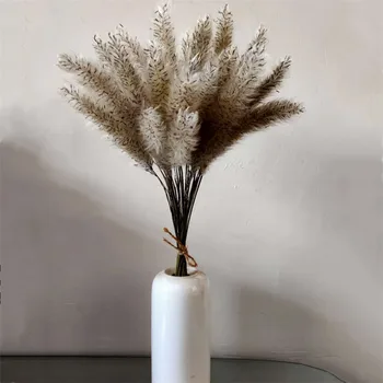 

Free Shipping100stems Chinese pampas grass wedding flower bunch photo background window display nutral dried flower