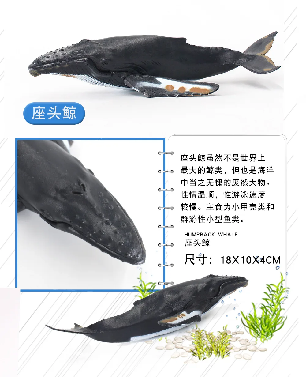 12-pvc КИТ Акула океаны дикие игрушки животные пластиковые модели животных игрушки