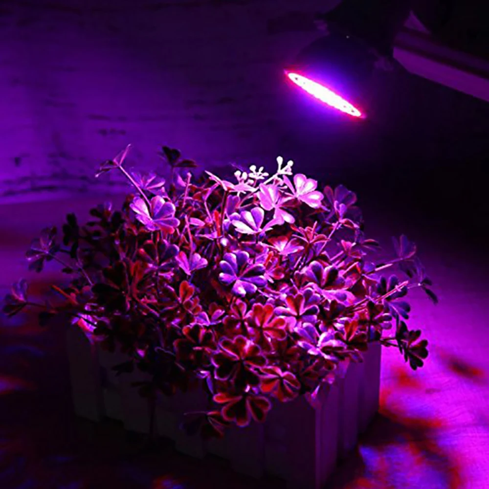 Mpow XW492 светодиодный светильник для выращивания E27 E14 Phytolamp 48 60 80 светодиодный s 110V 220V полный спектр лампа для выращивания растений Крытый сад растительный свет