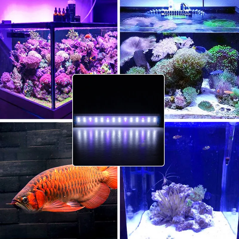 19-60 см светодиодный аквариумный освещение для аквариума панель с кронштейнами 5730SMD Blub синий+ белая лампа Регулируемый корпус из алюминиевого сплава AC220V