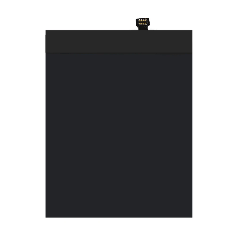 BN31 (1)