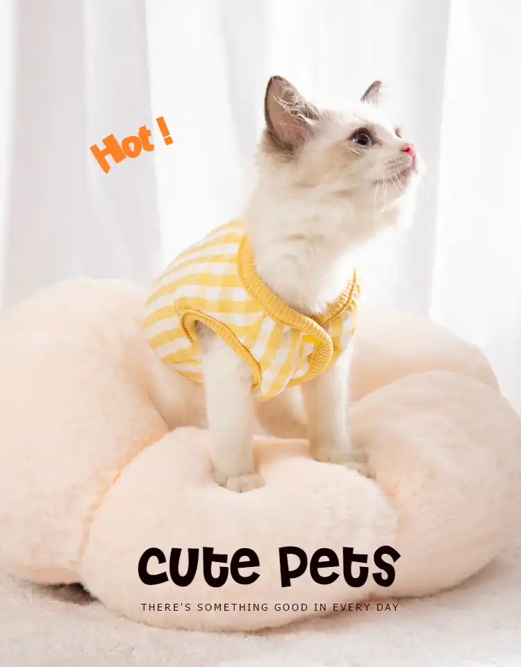 Chat Pour Animaux De Compagnie Vetements D Hiver Petits Chats Gilet Decontracte Chaud Chaton Chemise Chien Chat Manteau Aliexpress