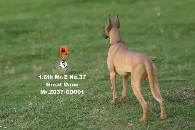 1/6 масштаб Pet Dog модель Mr. Z MRZ037 немецкий Great Dane(все 6 цветов) для 12 дюймов Экшн фигурки аксессуары коллекции