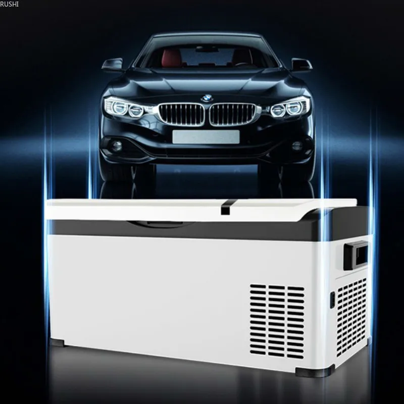 bmw car fridge