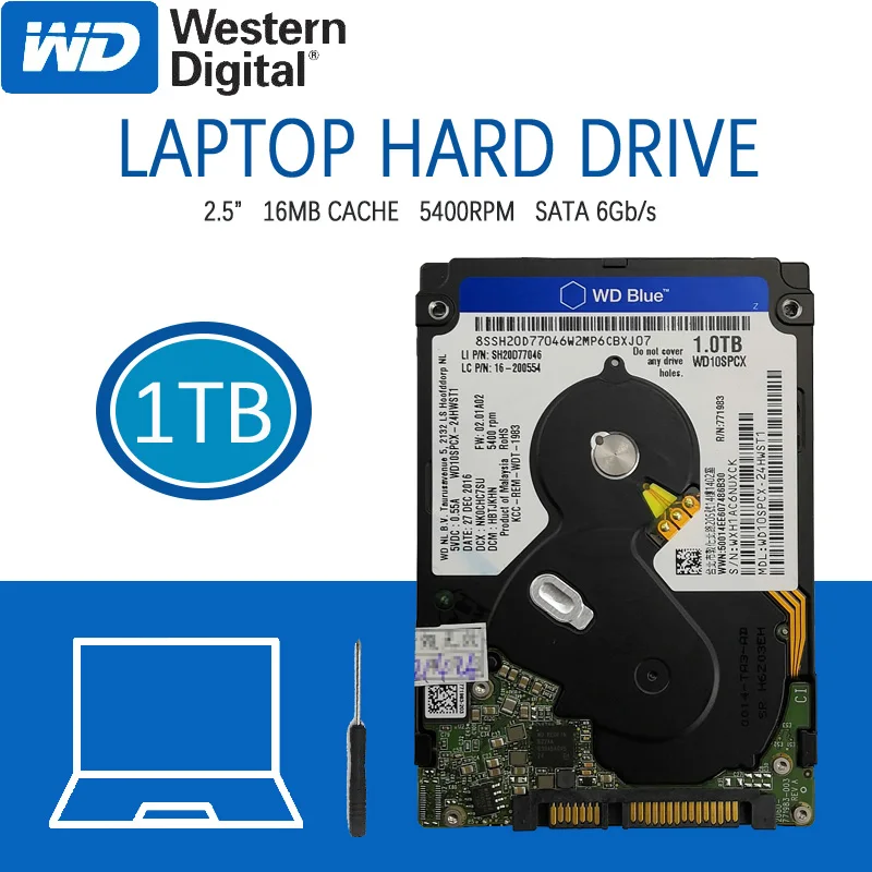 WD 1TB Laptop Hard Drive Blue Disk Computer Internal HDD HD