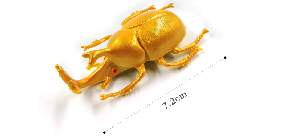 详情页-4款-昆虫甲虫等_14