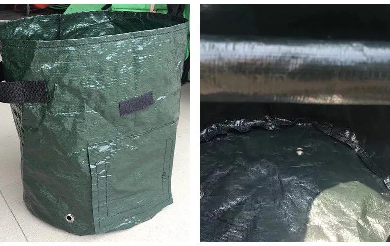 10387581646_1596666809