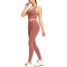 Roupa de ioga feminina sem costura, 2 tamanhos, alta, elástica, conjunto esportivo de treino, sutiã, legging, roupa esportiva