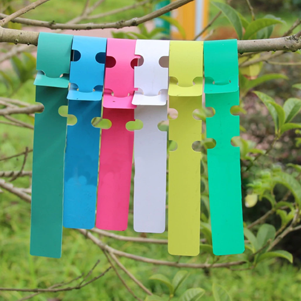 100pcs Plant Labels Tags Blank Name Tags Garden Markers Wrap Around Plastic Plant Nursery Garden Labels 5 Color