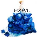 HZWL-dresstop Store