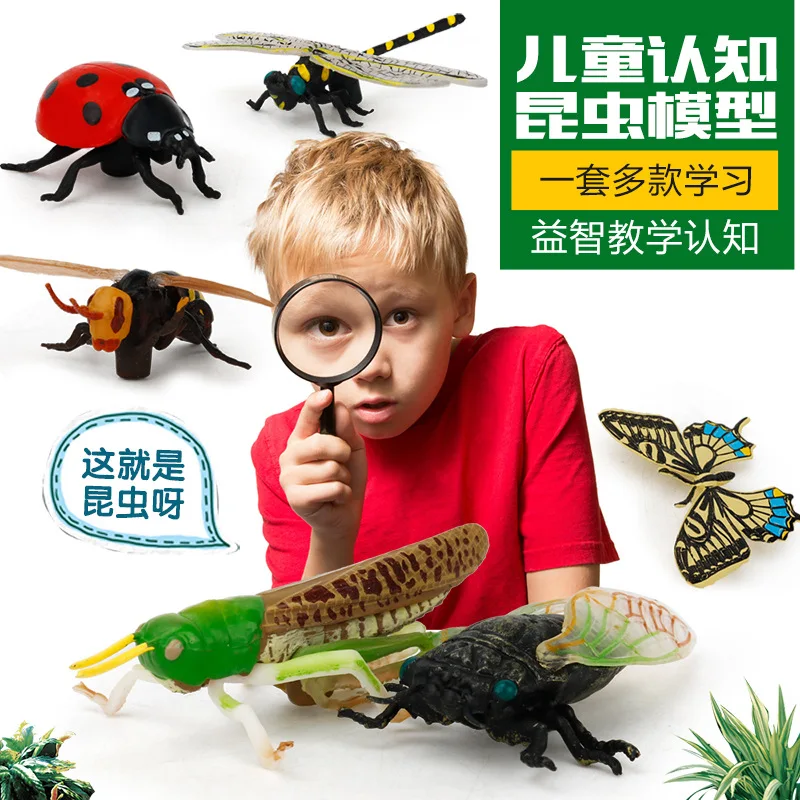 

Educational Science Cognitive Model Insect Animal World Furnishings Sand Table Scene Learning Toy