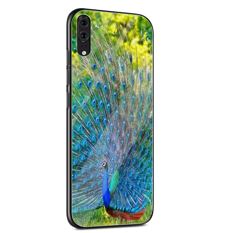 G11 Чехол для телефона из стекла ТПУ для huawei P10 P20 P30 Lite Pro P Smart mate 10 20 Lite Y6 Y9 Honor 7A 8X9 10 чехол с павлином - Цвет: G11
