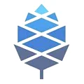 PINE HG Store