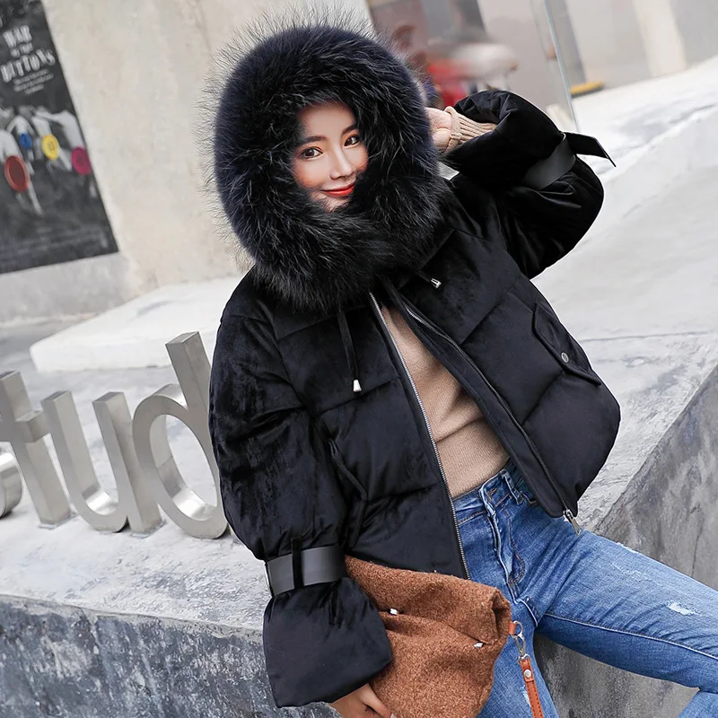 

Dongdaemun Winter New Style Fur Collar Large Size down Coat Liz Velvet Coats Women's Short Hooded down Jacket Cotton-padded Clot