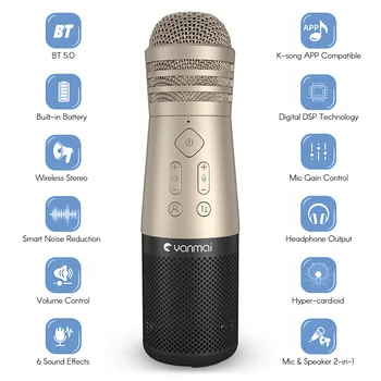 

Yanmai SF-999 Wireless Handheld Microphone Mic Smartphone Karaoke Player 6 Sound Effects Built-in Speaker Rechargeable Battery