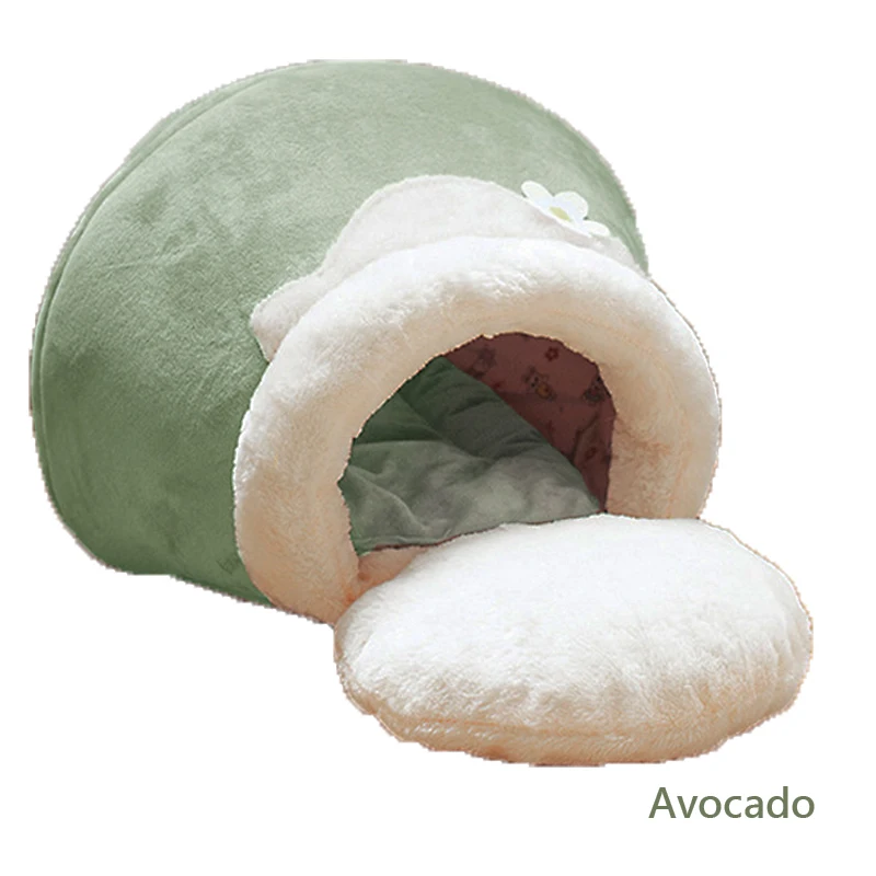 Avocado